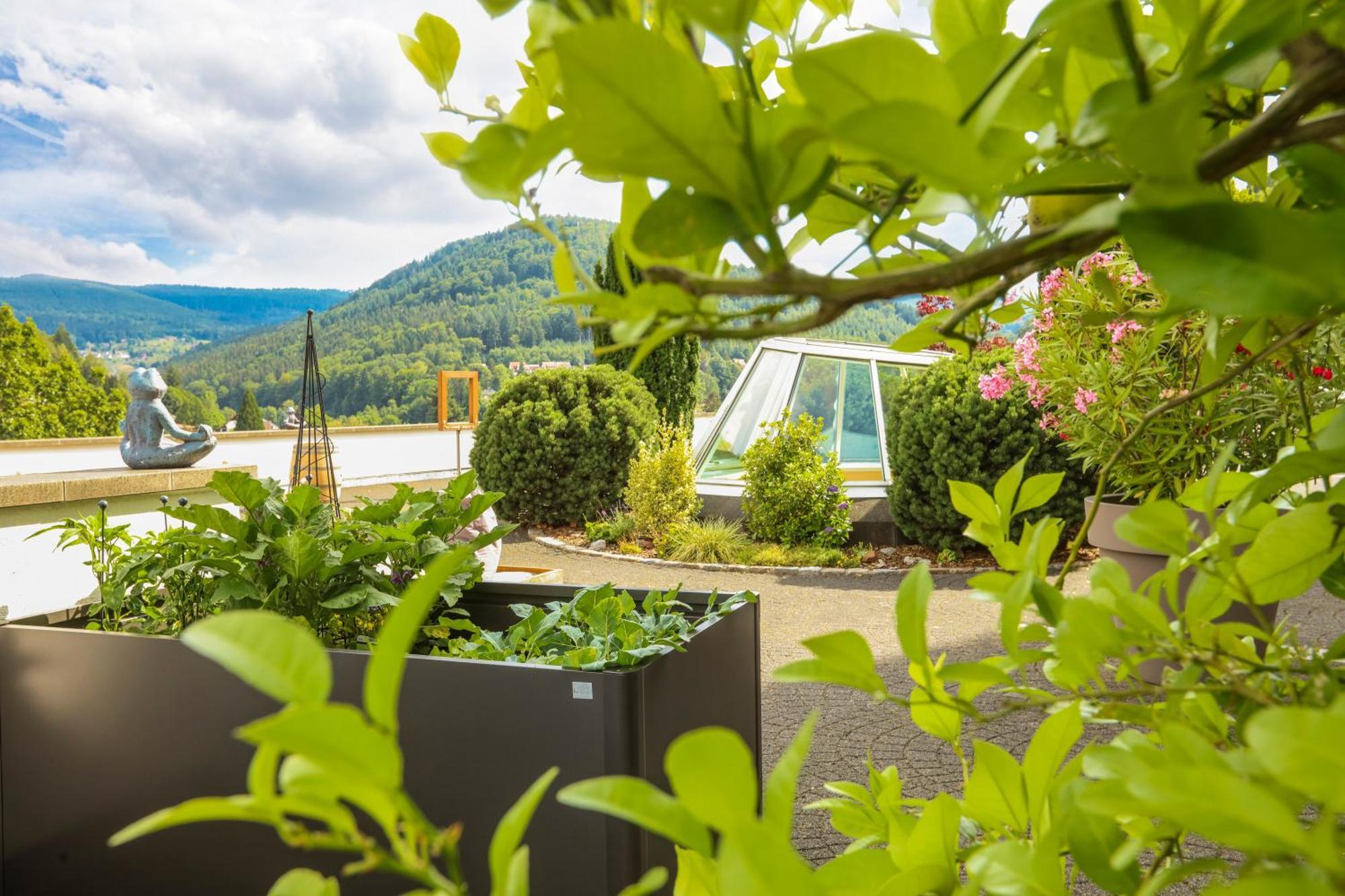 Hotel Schwarzwald Panorama Bad Herrenalb Exteriér fotografie