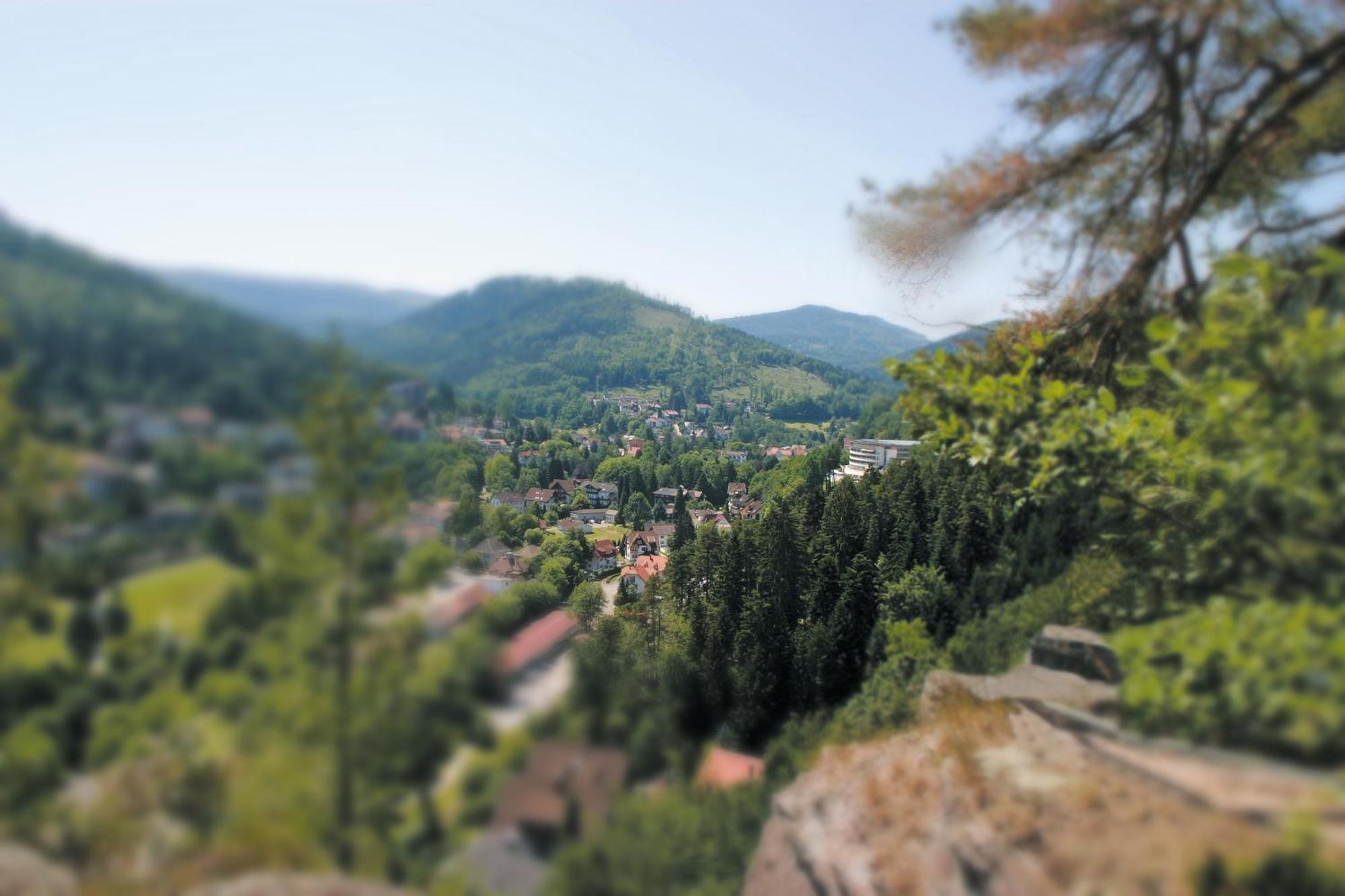Hotel Schwarzwald Panorama Bad Herrenalb Exteriér fotografie